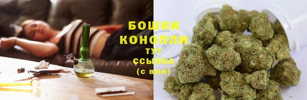 COCAINE Богданович